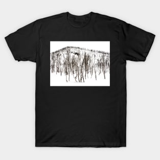 Northern Norway winter forest T-Shirt